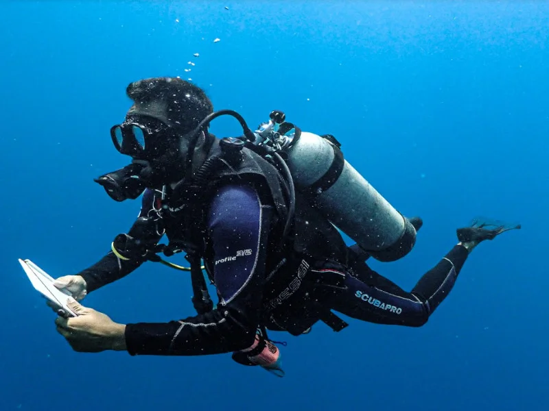 Beginner's Guide to Scuba Diving Top Tips for a Safe and Enjoyable Experience