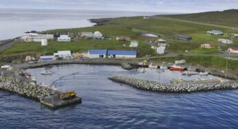 Grímsey: Arctic Island Home to 20 Residents and 1 Million Birds